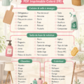 Checklist colorée pour un ménage de printemps organisé et efficace.