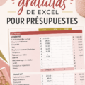 Modèle de budget dans Excel montrant des graphiques et des catégories